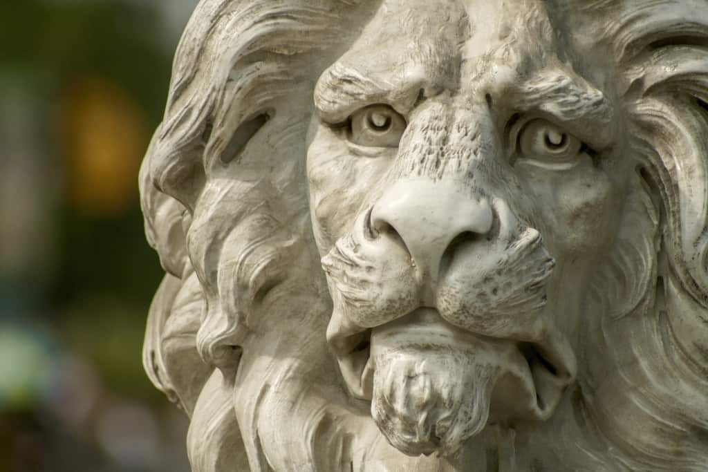 lion-statue-zoo-face