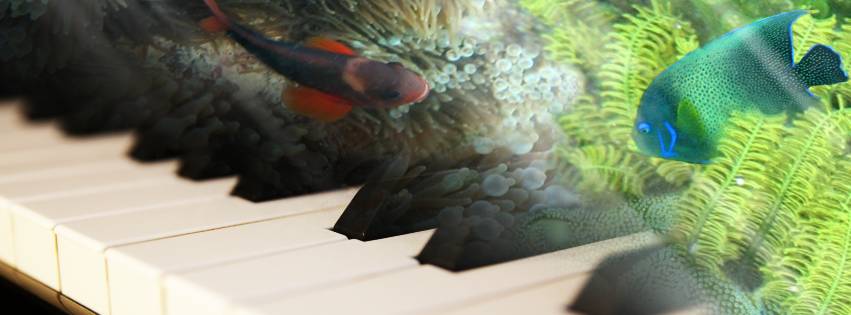 PianoFish_Web